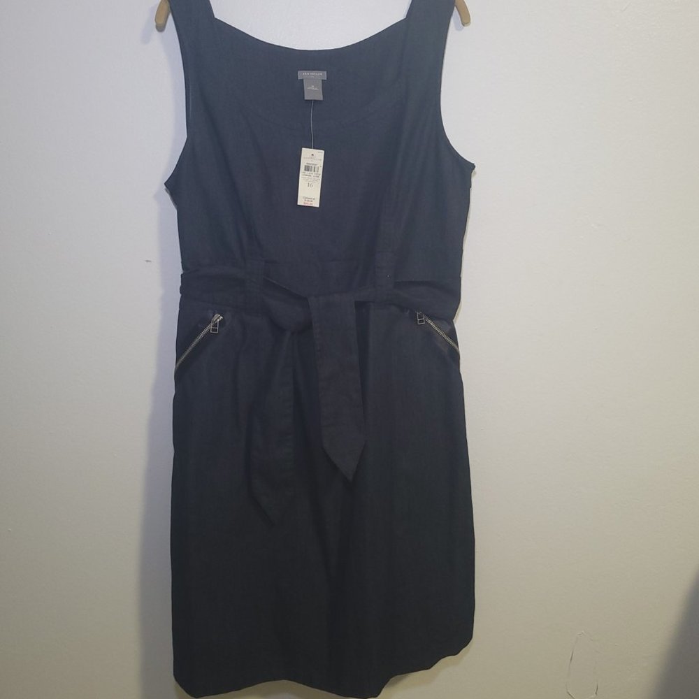 Ann Taylor Sleeveless Sheath Dress Size 16 (NWT)